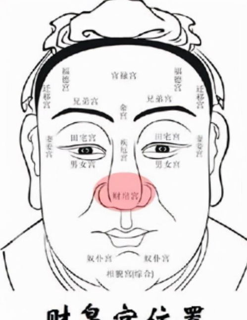 高挺鼻梁配肉鼻翼：欲望强烈难安分