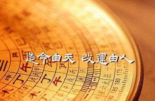 女命八字中无财星，是否意味着财运不佳或财富积累困难？
