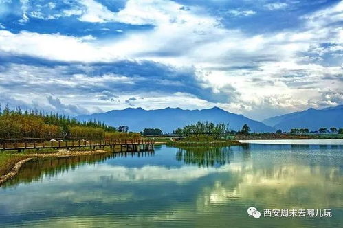 那天我哭得像个200斤的孩子