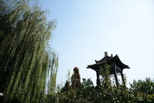 三、 闹中取静：南门广场的小确幸（或着大惊喜）