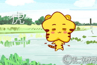 属虎男性格特征及白羊座属虎小孩性格特点是什么？
