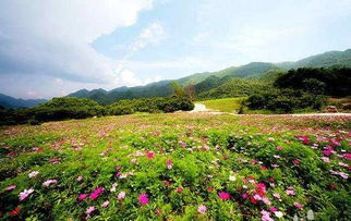 交通指南