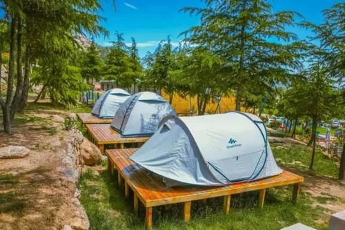 康王坟公园:历史与自然结合