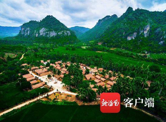 三、 绿色生态漫游——森林较深处的隐形旅店 & 野生动物速写班