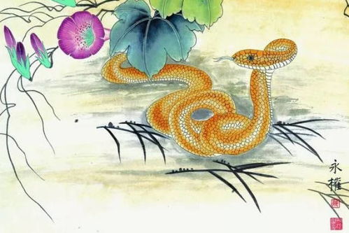 2024年蛇精们要倒大霉？