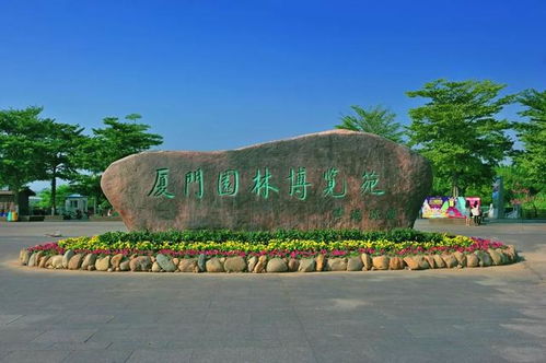 游览指南：让你的旅程更加顺畅