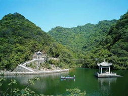 天童森林公园：天然氧吧还是智商税？