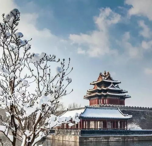 抖音上的故宫：网红景点