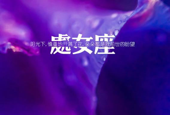 处女座：玻璃心的小公举