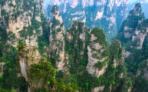 栾川旅游景点大乱炖——别让官方指南把你逼疯