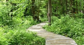 二、 地理密码与生态基底