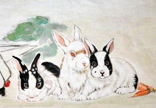 高高在上是什么生肖？代表什么动物的意思是什么？