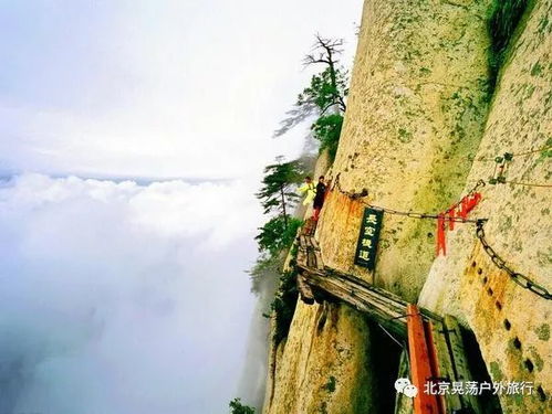 那个夏天，差点要了我的命