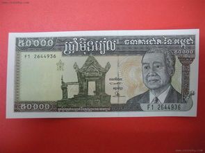 购物和娱乐活动