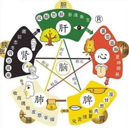 五行是个啥？能吃吗？