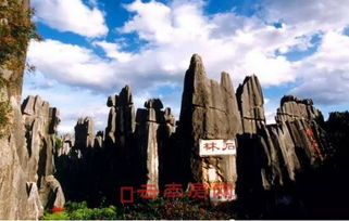 二、 石林景区：网红地点的持续火爆