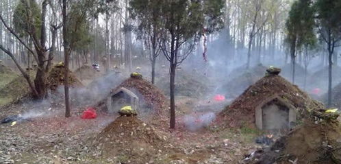 母亲坟地风水,母亲的孤坟与风水