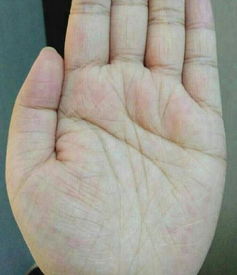 男人左手手相财运亨通的特征有哪些？图解大全详解！
