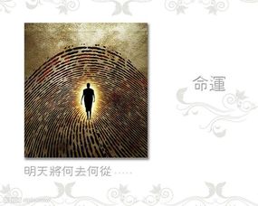 岁运的作用于：时机决定成败