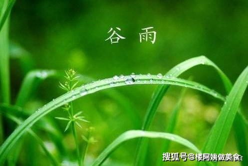 谷雨寓意和象征风水,谷雨有什么寓意