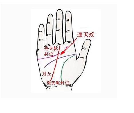 手掌里爬着一条发财虫