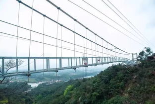 云冈的那些石头们