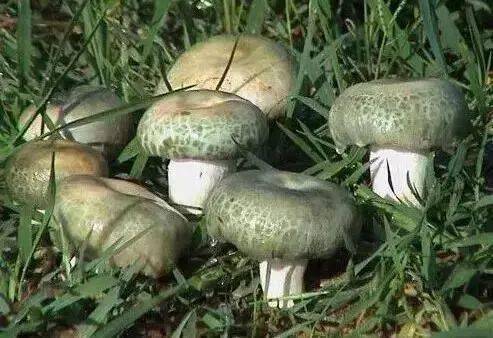 避坑指南：千万别去这些店！