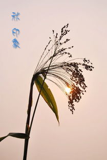 如何体现男子的气概？ (这部分可真没啥新意)