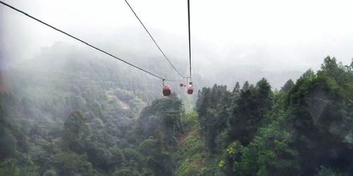 索道惊魂: 吊在半空中的无助感