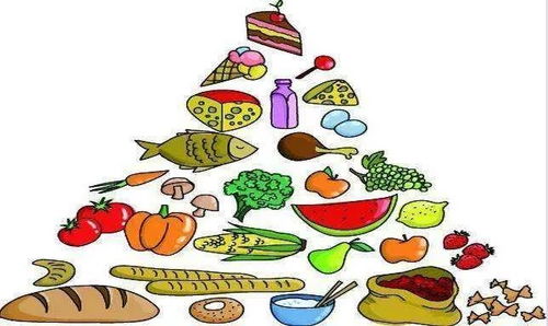 一、  森林意象在风水学中的隐喻：木火通明的命格