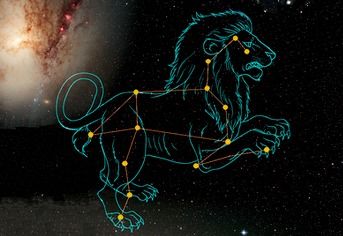 狮子座：皇家气场与潜在危机