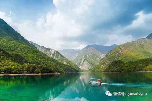 今后已来：更多元化需求催生百花齐放时代