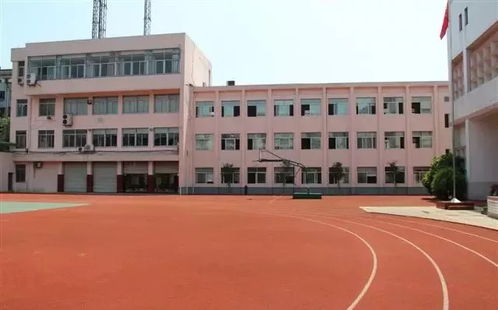 偶遇老人——关于张明华的一段传奇故事