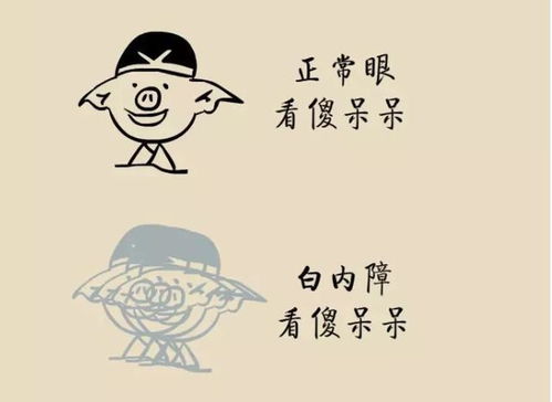 排斥命苦 擅长抱怨