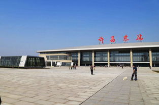 迷路在许昌汽车东站：一场说走就走的冒险