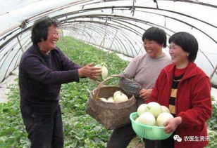 农业种植合作社起名大全：土到极致就是潮