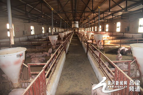 先说说咱老百姓实实在在的感受