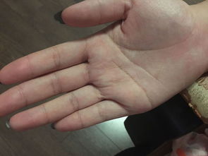 二、 生肖与风水——更宏较大的命运系统
