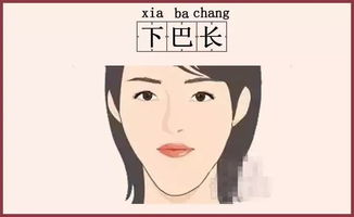 下巴肉厚的性格密码：是柔软薄弱还是包容？