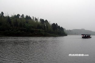 三、乐山大佛与凌云寺：文化避暑两不误