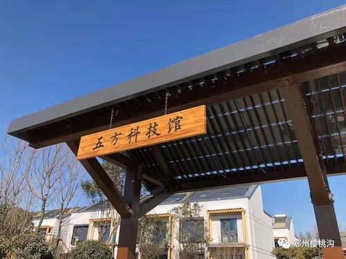 交通：一场史诗级的冒险