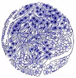 哪一年是白袷蓝衫生肖年？客家蓝衫图案纹样有何寓意？