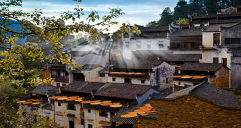 遇到个神仙导游