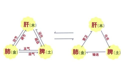 免费八字分析，仅凭生辰就能一生，这种结论准确到令人畏惧，是可怕的吗？
