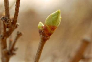 这些名字绝了！