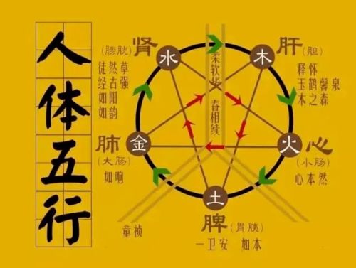 金命人缺金？这科学吗？