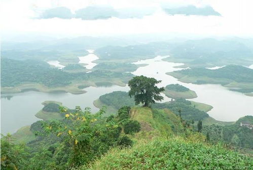 关于朝向——方向不对命途乖