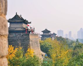 二、 第一站：陕西历史博物馆——穿越时空的宝库