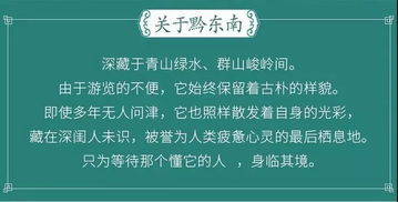 第六天：普洱，茶香里的宁静