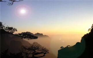人山人海中的那一抹白